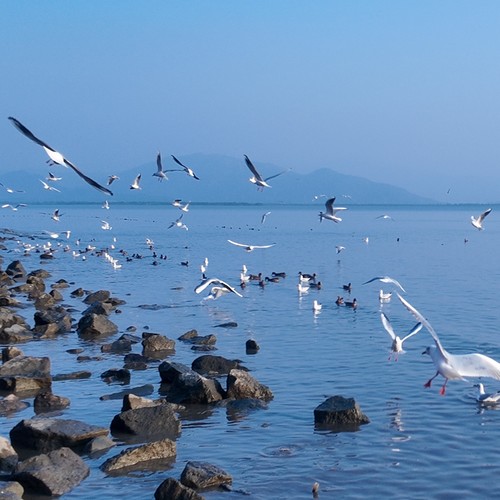 郡与辉哥资料,郡与辉哥最新歌曲,郡与辉哥MV视频,郡与辉哥音乐专辑,郡与辉哥好听的歌