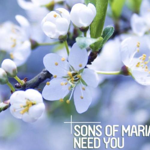 Sons of Maria资料,Sons of Maria最新歌曲,Sons of MariaMV视频,Sons of Maria音乐专辑,Sons of Maria好听的歌