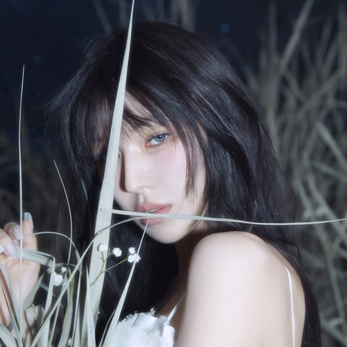 WENDY资料,WENDY最新歌曲,WENDYMV视频,WENDY音乐专辑,WENDY好听的歌