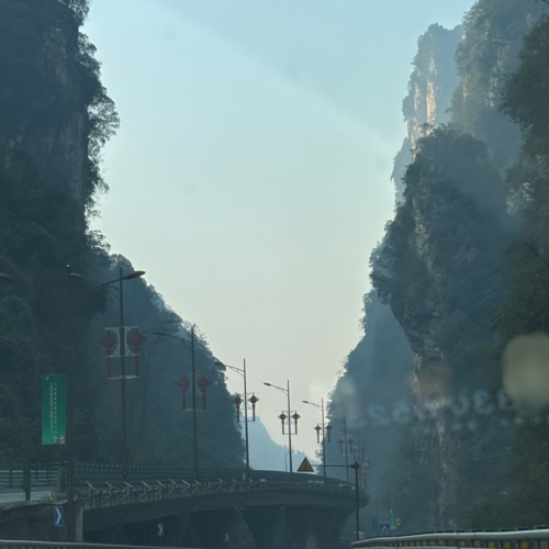 杨仙资料,杨仙最新歌曲,杨仙MV视频,杨仙音乐专辑,杨仙好听的歌