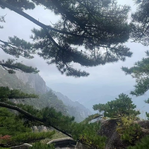 天空的飞鱼资料,天空的飞鱼最新歌曲,天空的飞鱼MV视频,天空的飞鱼音乐专辑,天空的飞鱼好听的歌