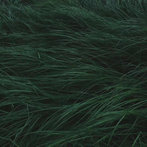 至岁资料,至岁最新歌曲,至岁MV视频,至岁音乐专辑,至岁好听的歌