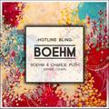 Hotline Bling (Drake Cover)Boehm&Charlie Puth