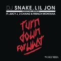 Turn Down for What(Official Remix)DJ Snake&Lil Jon&Juicy J&2 Chainz