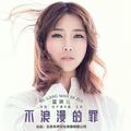 不浪漫的罪(DJ何鹏版)蓝琪儿