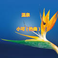 我总想找个理由 回到相遇的街头DJ小可