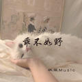 姐姐微信来啦(抖音版)妖姬Music