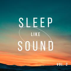 歌手Sleep Like Sound的头像