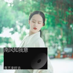 歌手青不来籽去的头像