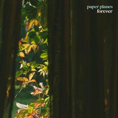 歌手Paper Planes的头像