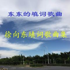 歌手徐向东的头像