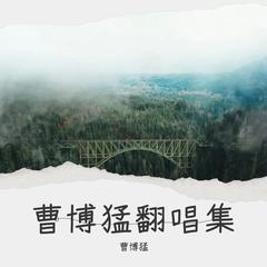 歌手曹博猛的头像