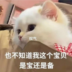 歌手猪猪爱吃鱼的头像