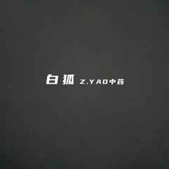 歌手Z.YAO中药的头像