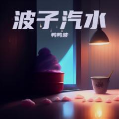 歌手鸭鸭波的头像