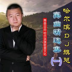 歌手哈尔滨DJ旗总的头像