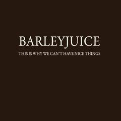 This Is Why We Can t Have Nice Things Barleyjuice