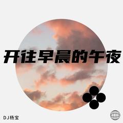 歌手DJ杨宝的头像