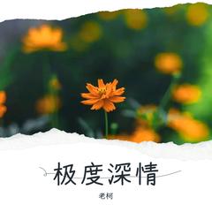 歌手老柯的头像