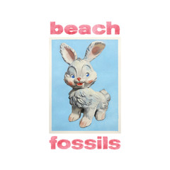 歌手Beach Fossils的头像