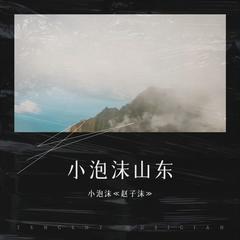 歌手小泡沫《赵子沫》的头像