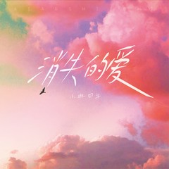 歌手小琳同学的头像