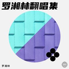 歌手罗湘林的头像