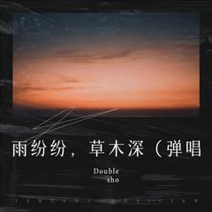 歌手Double shoot「双重暴击」的头像