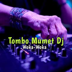 歌手Tombo Mumet Dj Remixer的头像