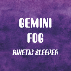 歌手Gemini Fog的头像