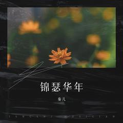 歌手秦儿的头像