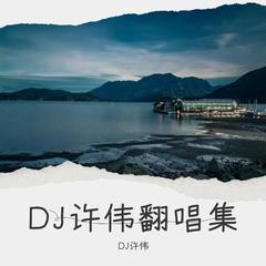 歌手DJ许伟的头像