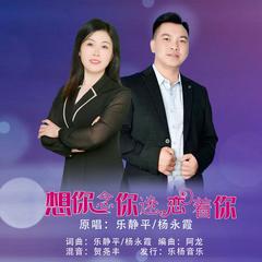 歌手杨永霞&乐静平的头像