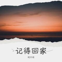 歌手何大欢的头像