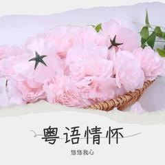 歌手悠悠我心的头像