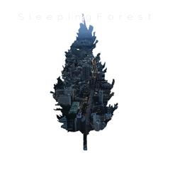 歌手Sleeping Forest沉睡森林的头像