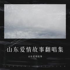 歌手山东爱情故事的头像