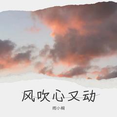 歌手雨小桐的头像