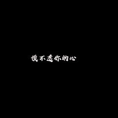 歌手王志鹏Music的头像