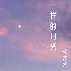 歌手杨悠悠的头像