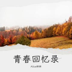 歌手Alice林林的头像