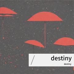 歌手destiny的头像