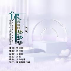 歌手书禾的头像