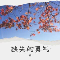 歌手杨海彪的头像