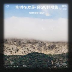 歌手柳树在发芽-冀GW的头像