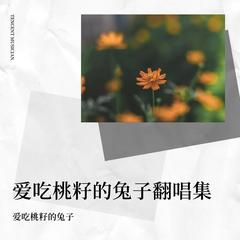 歌手爱吃桃籽的兔子的头像