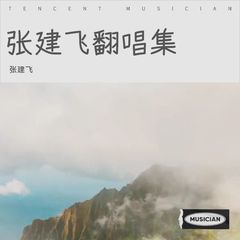 歌手张建飞的头像