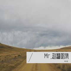 歌手Mr.赵的头像