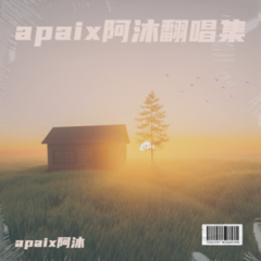 歌手apaix阿沐的头像