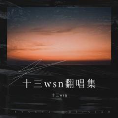 歌手十三wsn的头像